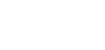 Lizard Skins